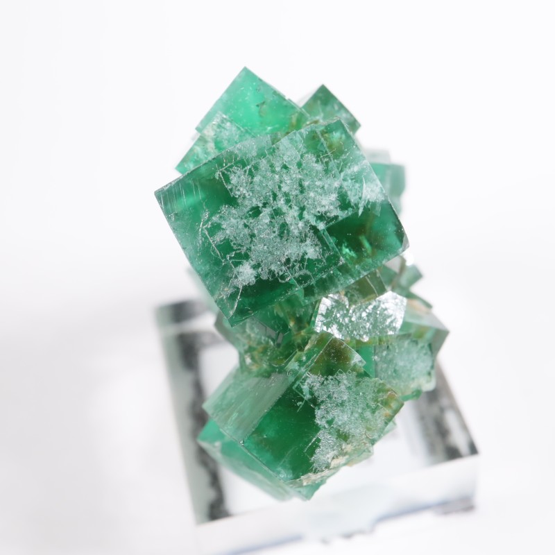 �ǥ����ʥޥꥢ�ۻ��� �ե����饤��