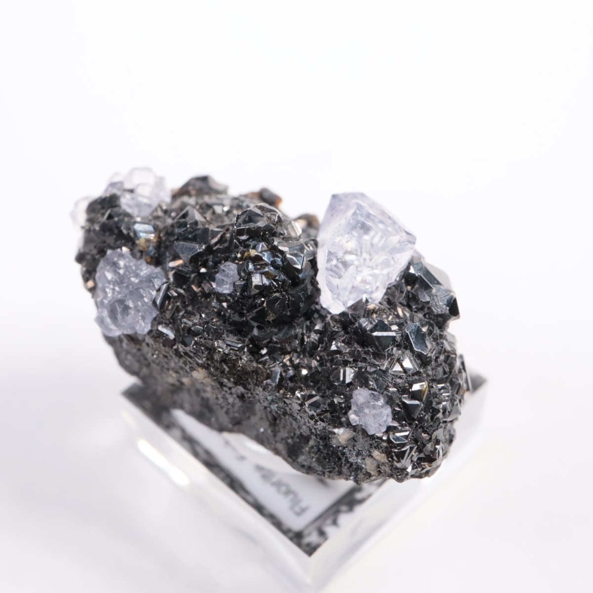 Ojuelaۻ ե饤ȡե饤