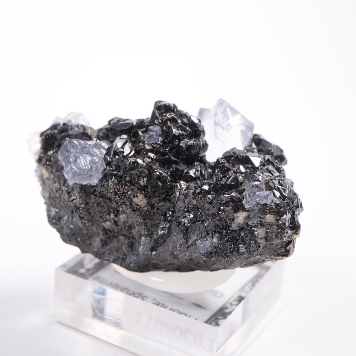 Ojuelaۻ ե饤ȡե饤