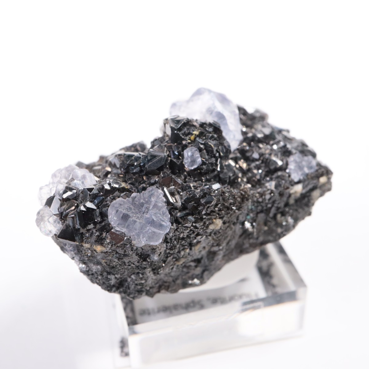 Ojuelaۻ ե饤ȡե饤