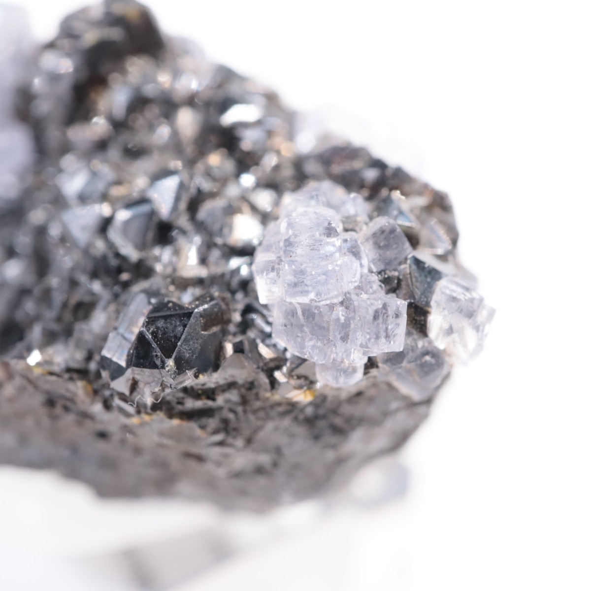 Ojuelaۻ ե饤ȡե饤