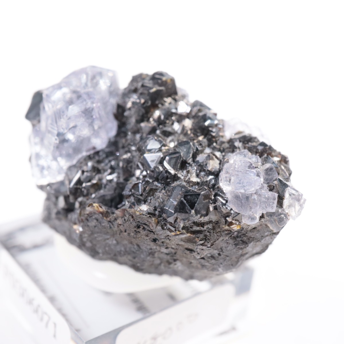 Ojuelaۻ ե饤ȡե饤