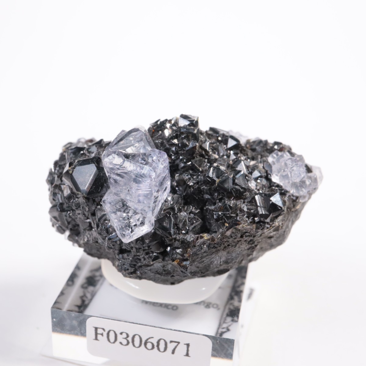 Ojuelaۻ ե饤ȡե饤