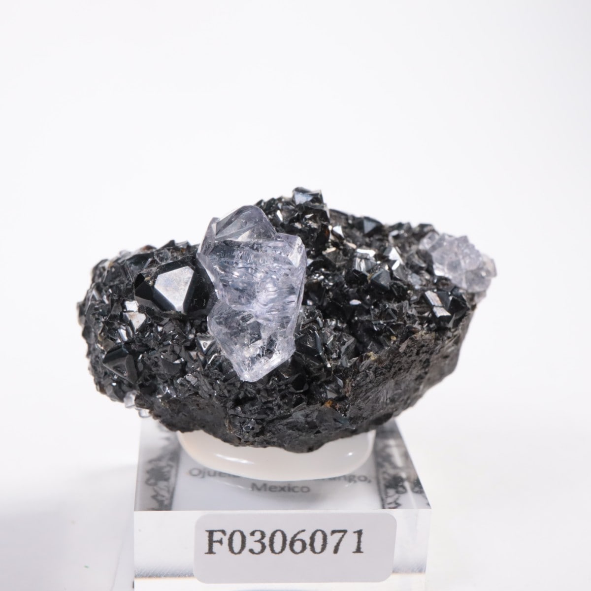 Ojuelaۻ ե饤ȡե饤