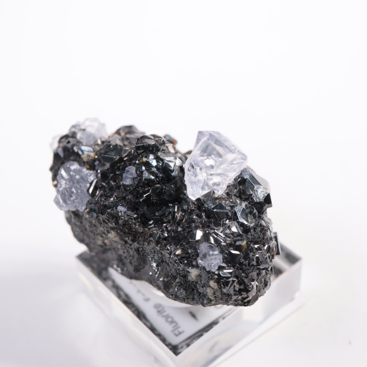 Ojuelaۻ ե饤ȡե饤