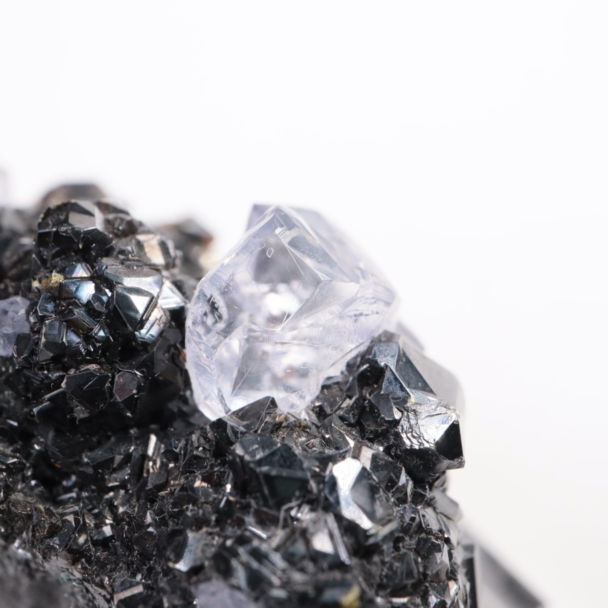 Ojuelaۻ ե饤ȡե饤