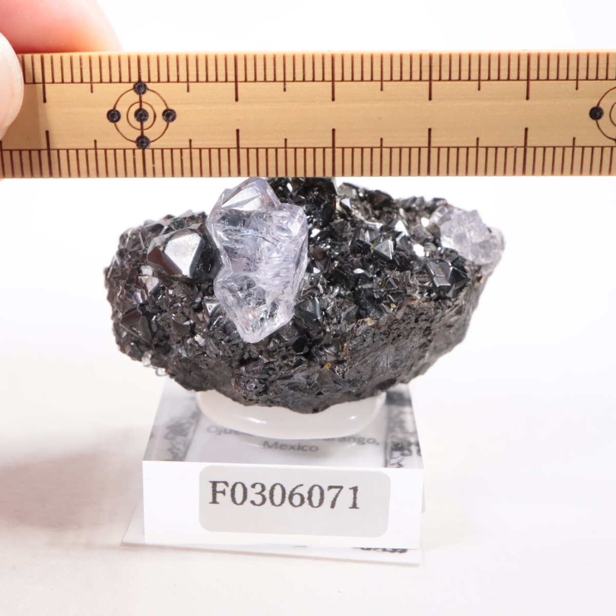 Ojuelaۻ ե饤ȡե饤