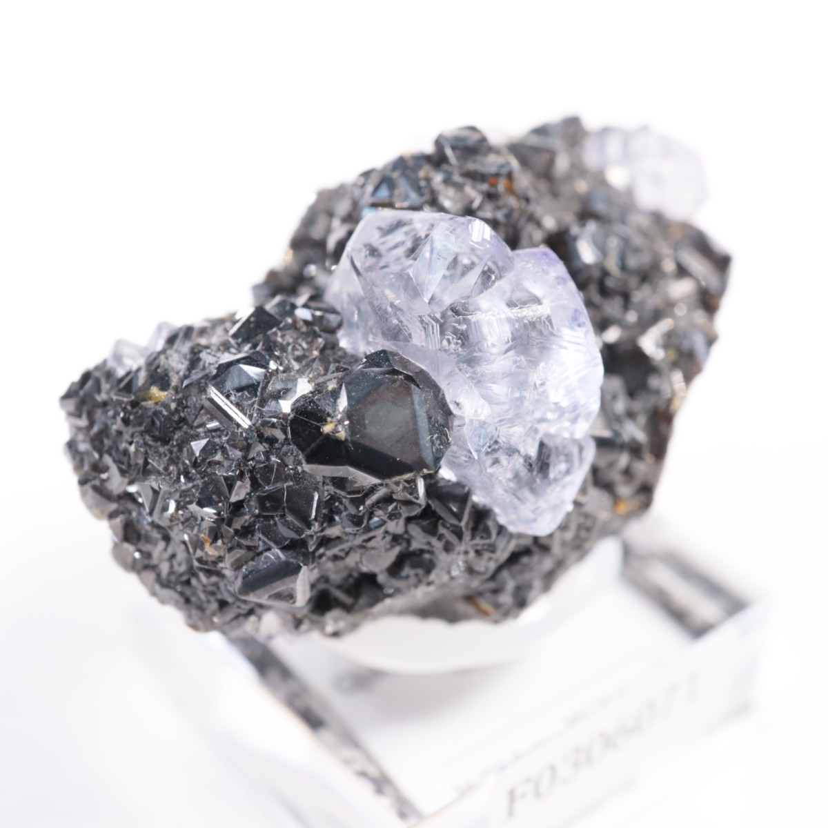 Ojuelaۻ ե饤ȡե饤