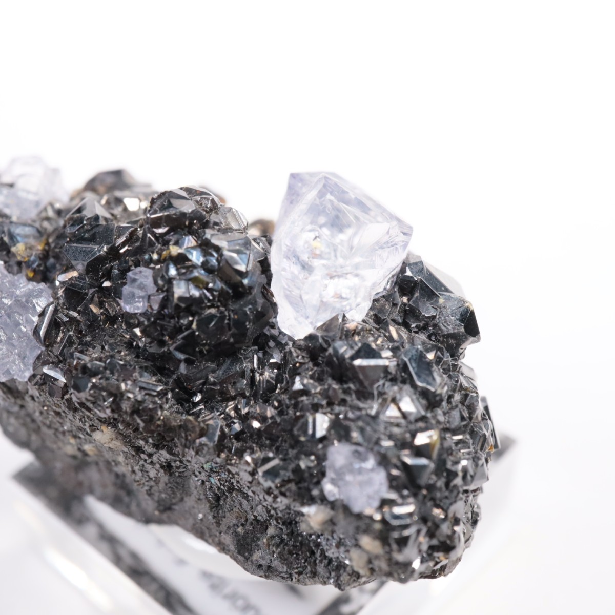 Ojuelaۻ ե饤ȡե饤