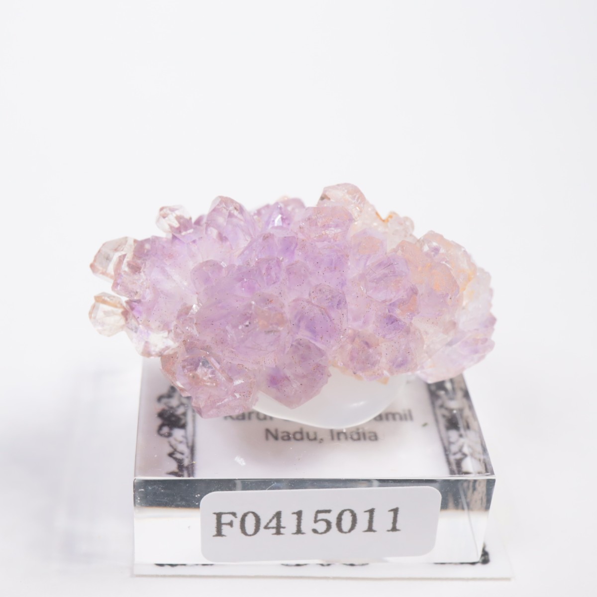 ����ɻ� ���᥷����