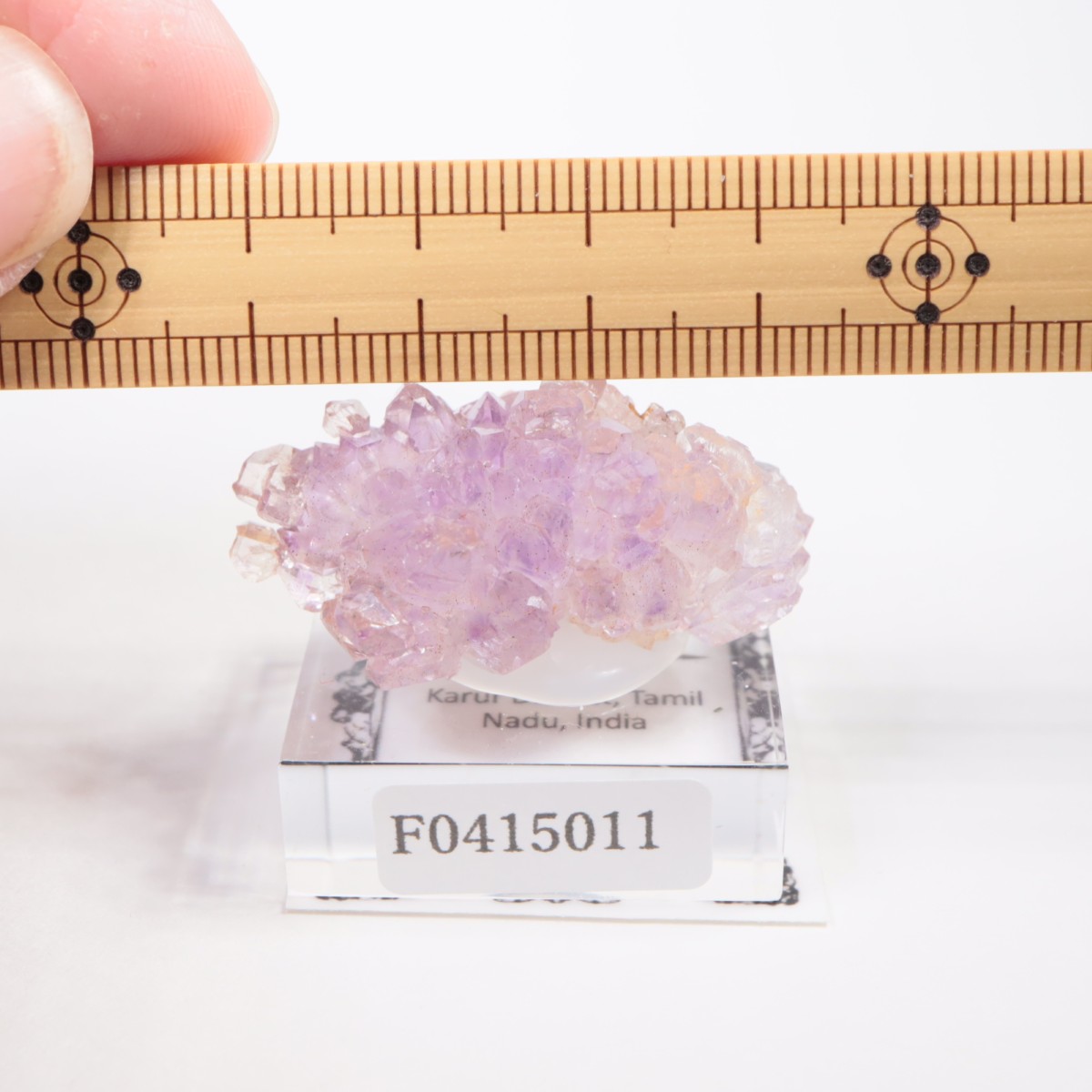 ����ɻ� ���᥷����