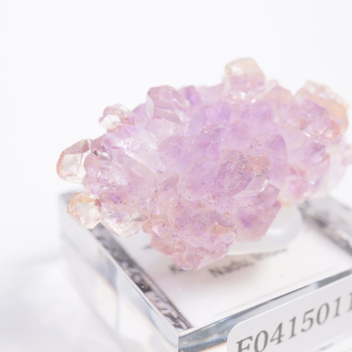 ����ɻ� ���᥷����