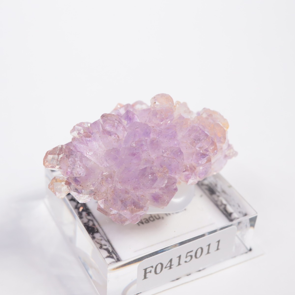 ����ɻ� ���᥷����