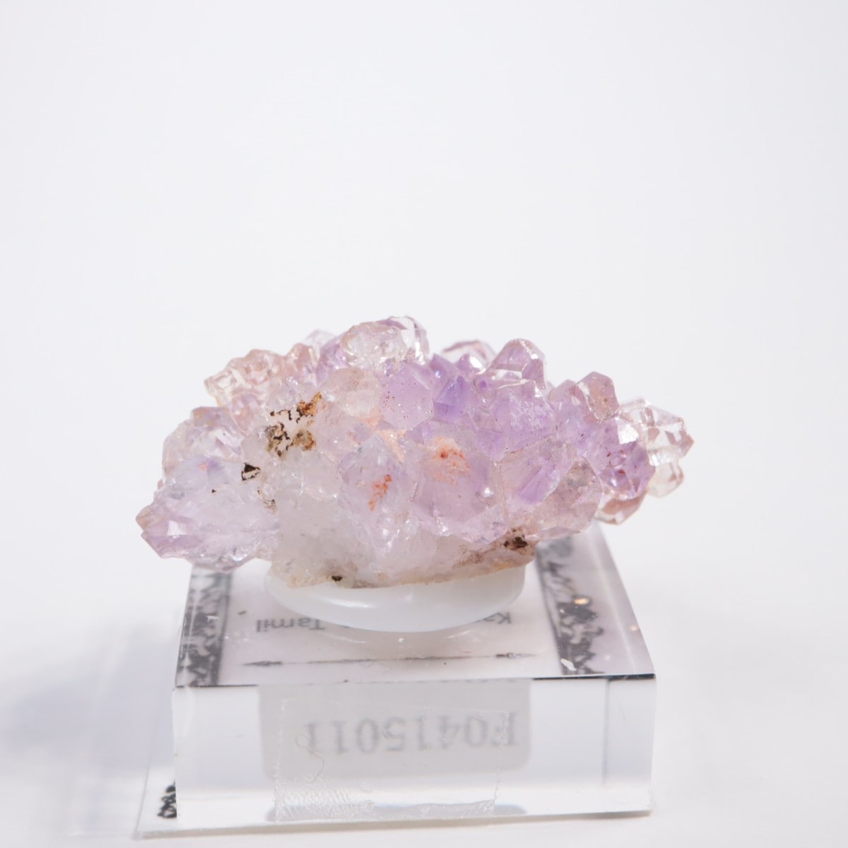 ����ɻ� ���᥷����