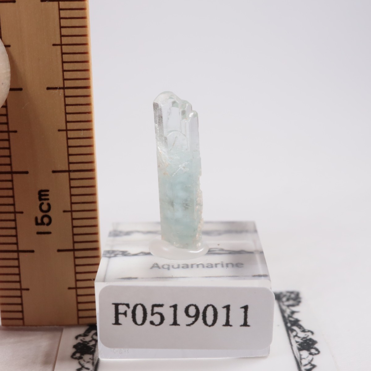 Minas Gerais�� �������ޥ��