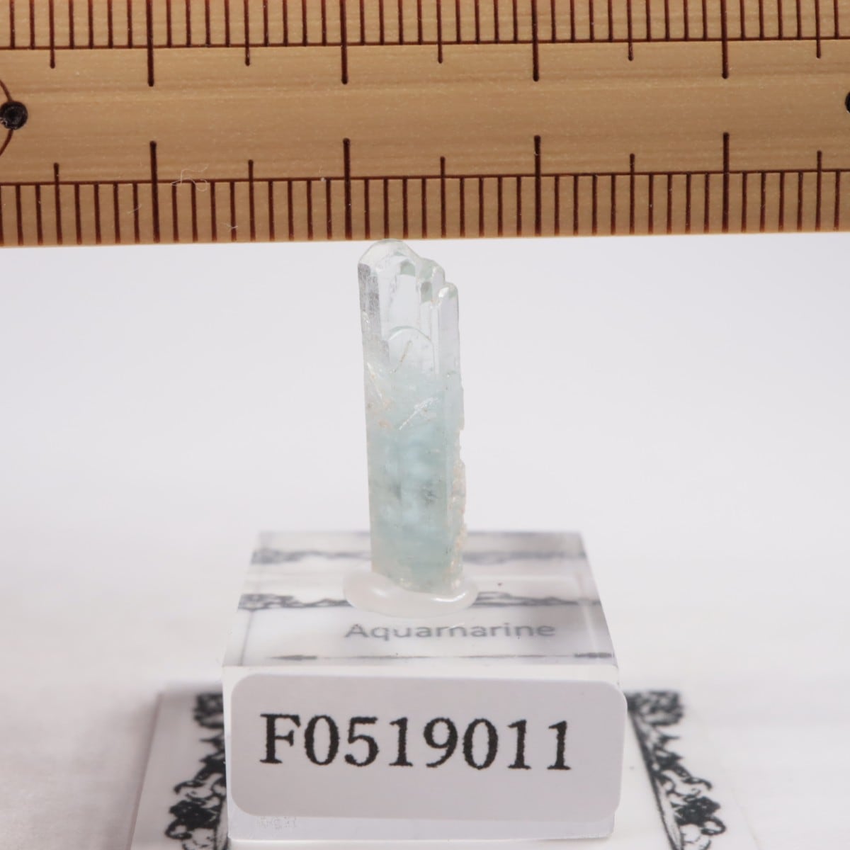 Minas Gerais�� �������ޥ��