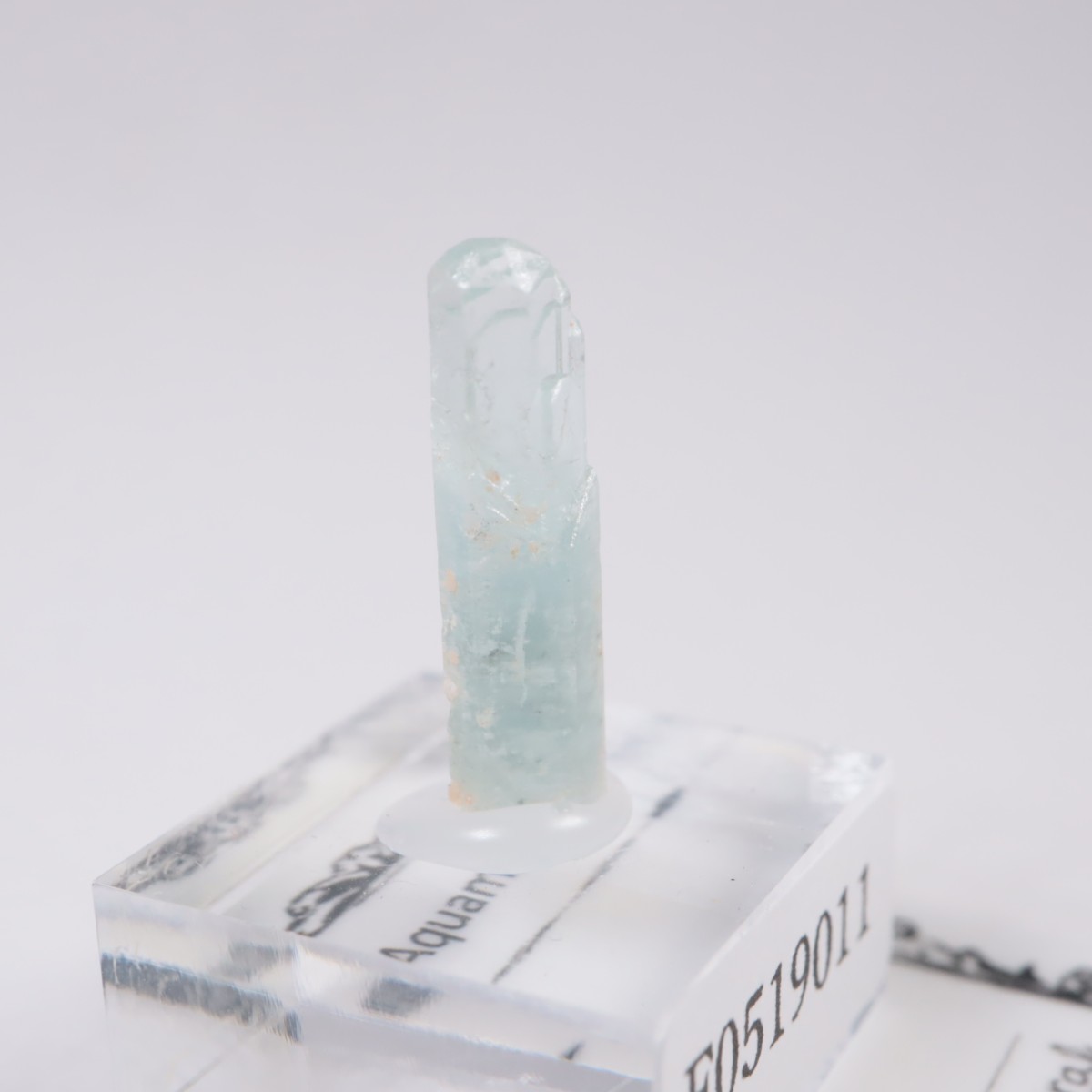 Minas Gerais�� �������ޥ��