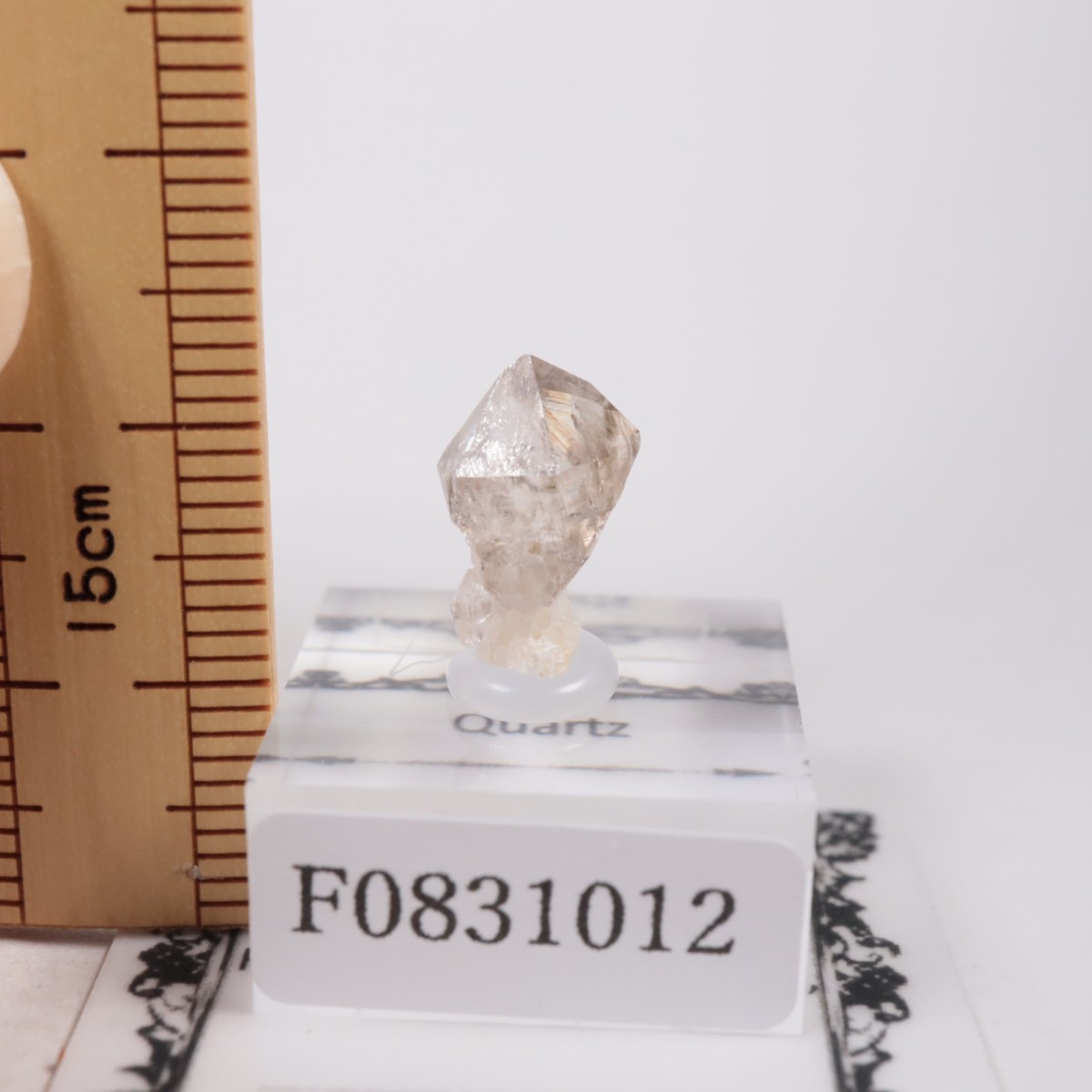 �ե�󥹻� ��������