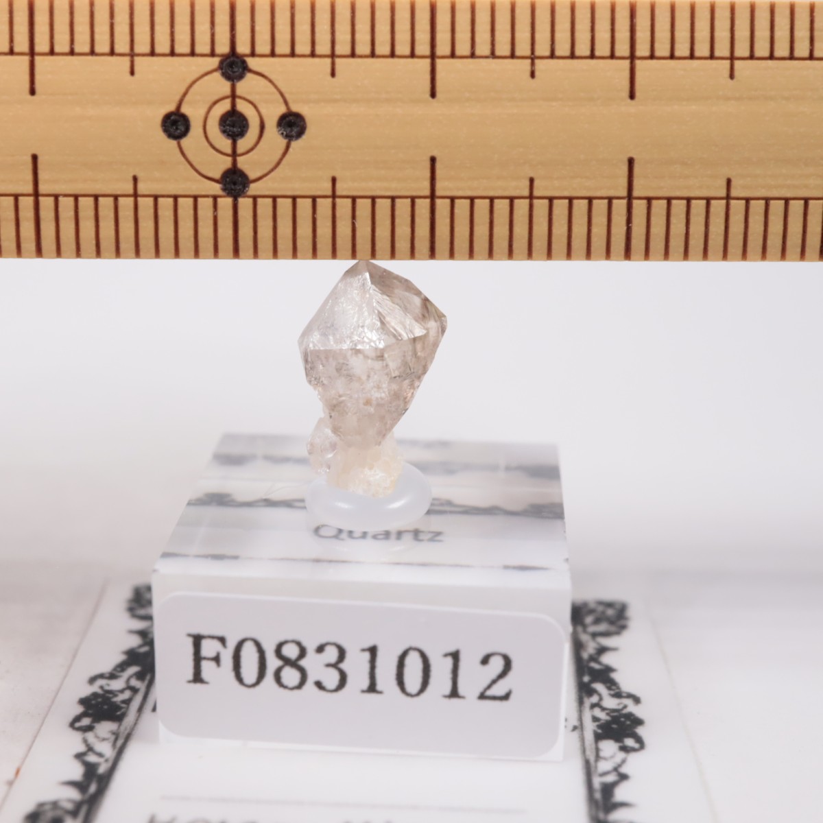 �ե�󥹻� ��������