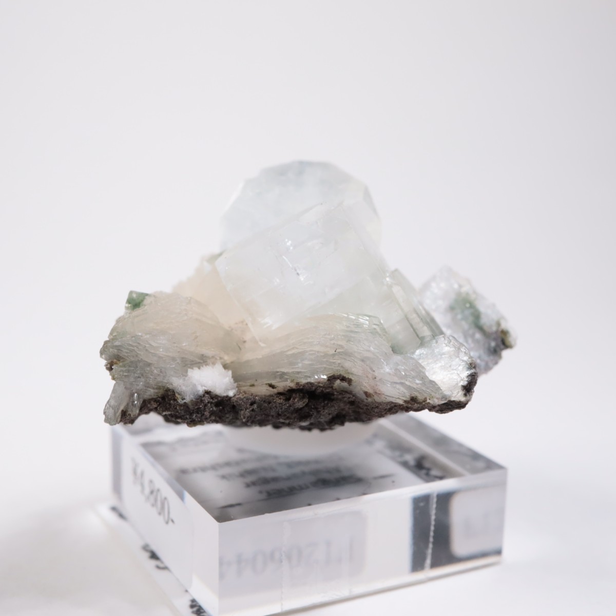 ����ɻ� ���ݥե��饤��