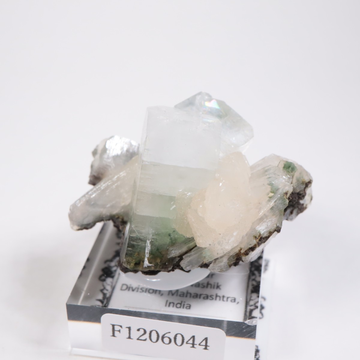 ����ɻ� ���ݥե��饤��