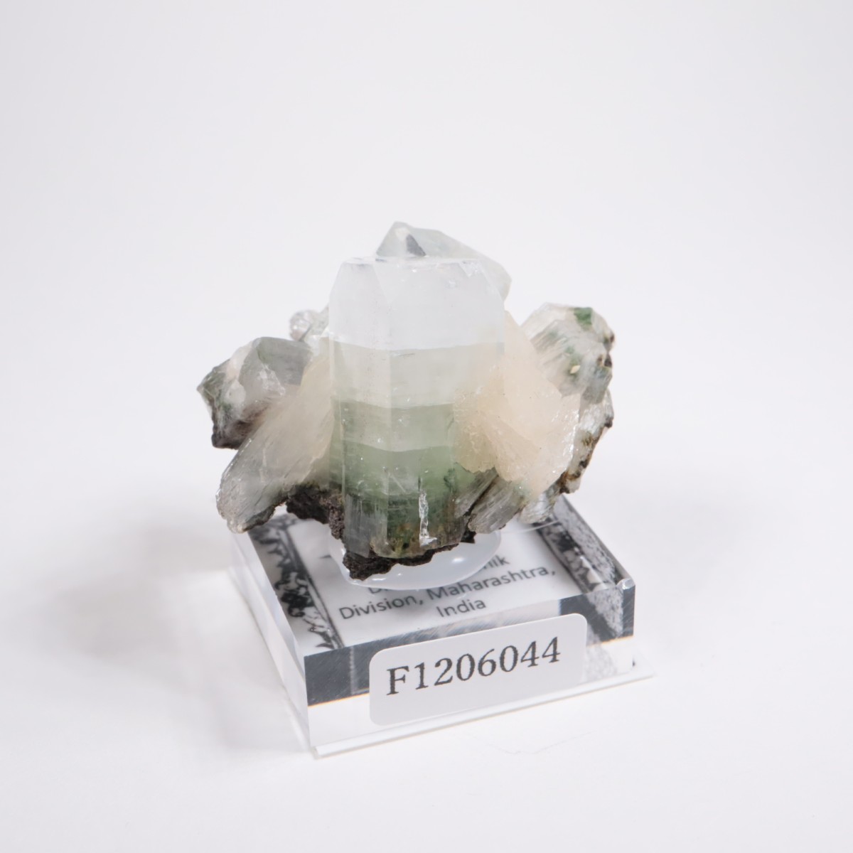 ����ɻ� ���ݥե��饤��