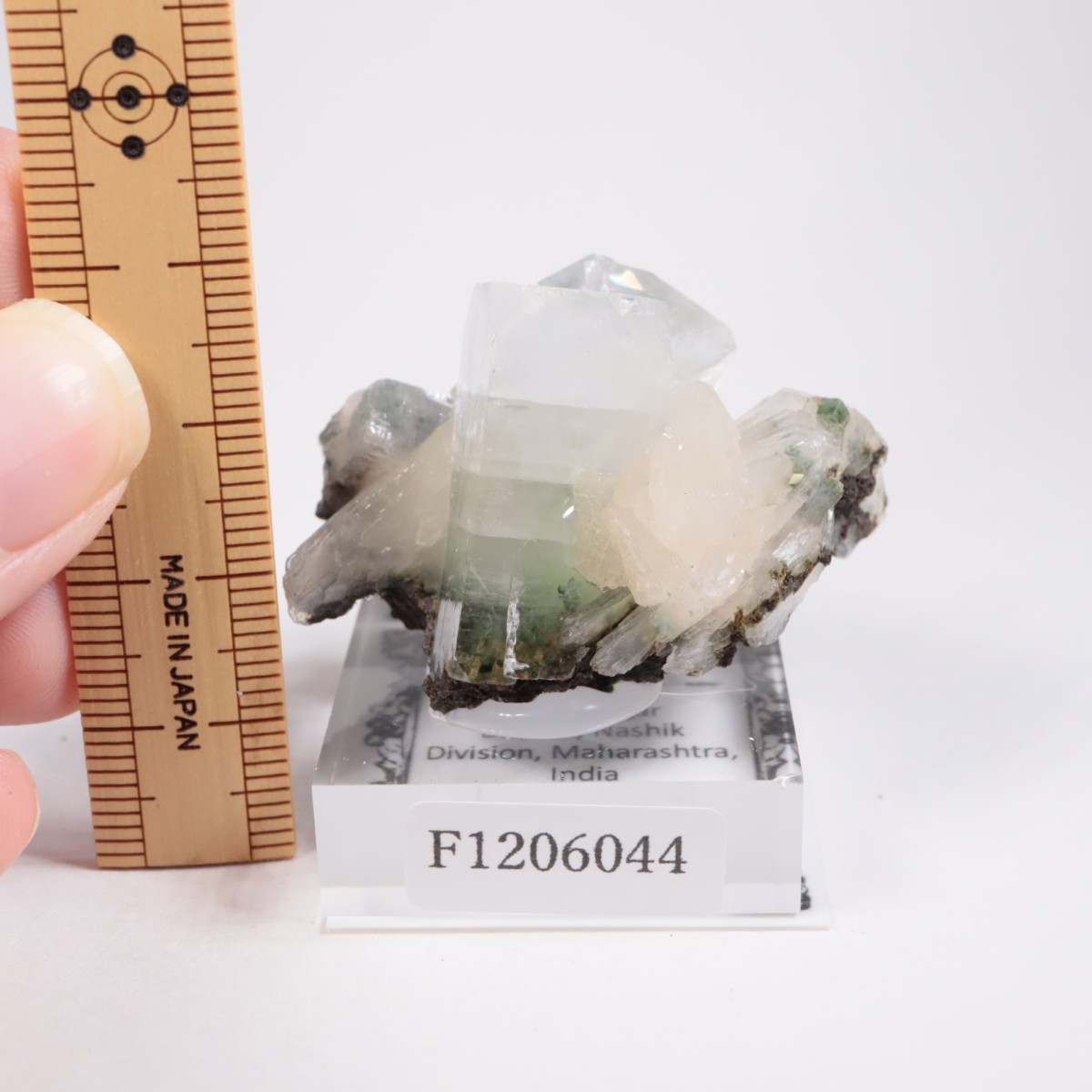 ����ɻ� ���ݥե��饤��