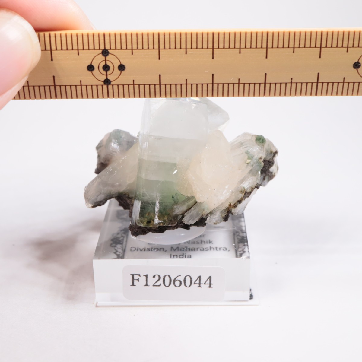 ����ɻ� ���ݥե��饤��