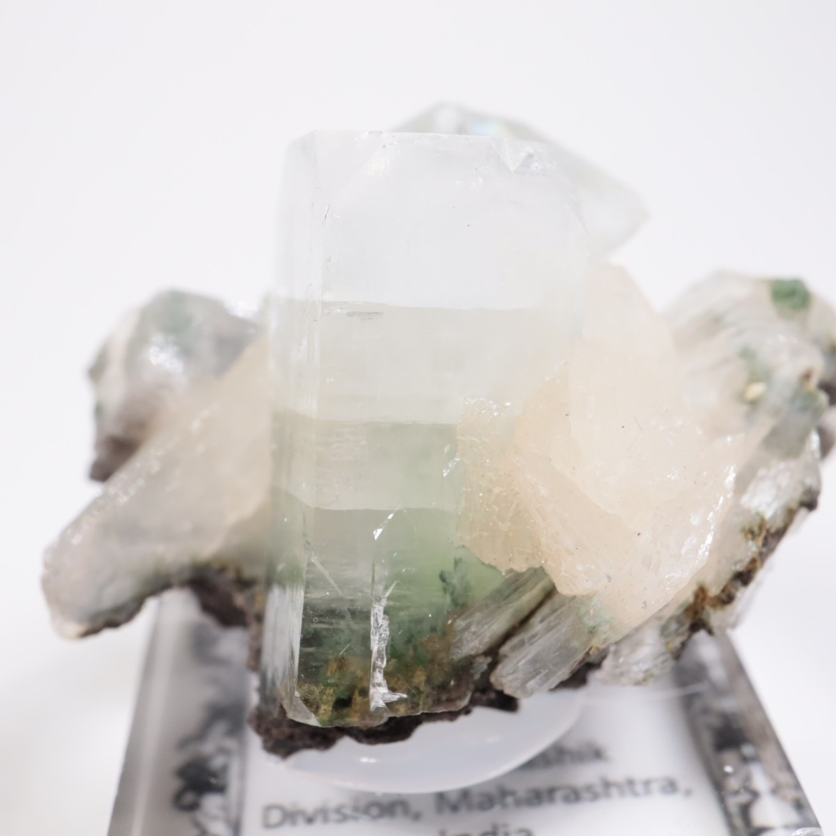 ����ɻ� ���ݥե��饤��