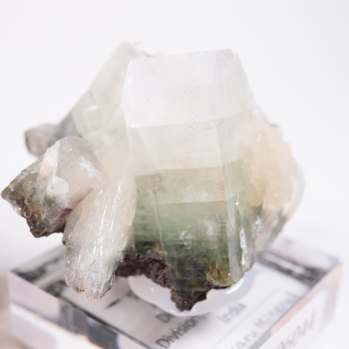 ����ɻ� ���ݥե��饤��