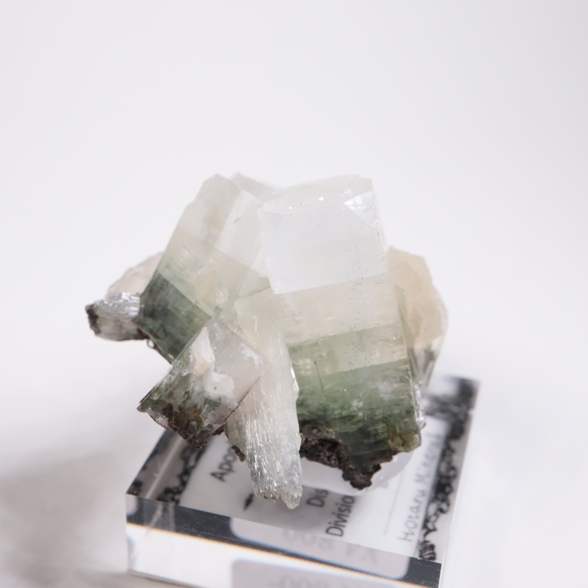 ����ɻ� ���ݥե��饤��