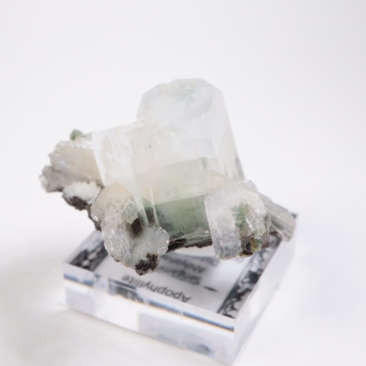 ����ɻ� ���ݥե��饤��