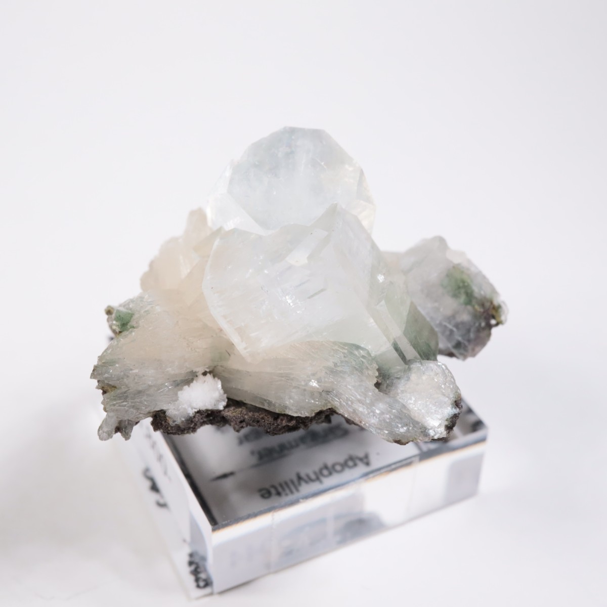 ����ɻ� ���ݥե��饤��