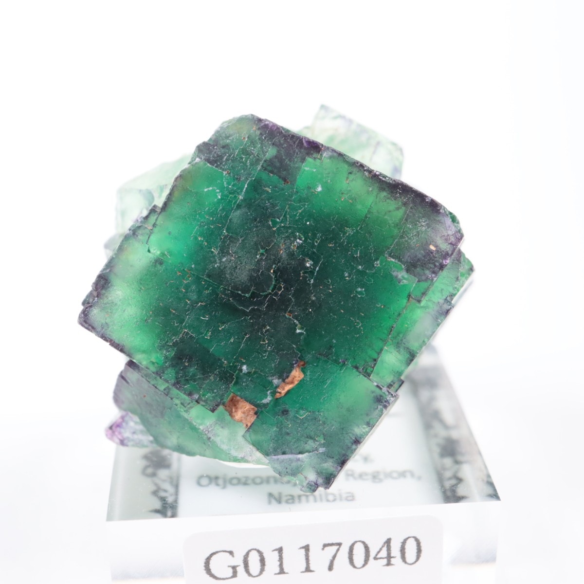 Okorusu�ۻ� �ե����饤��