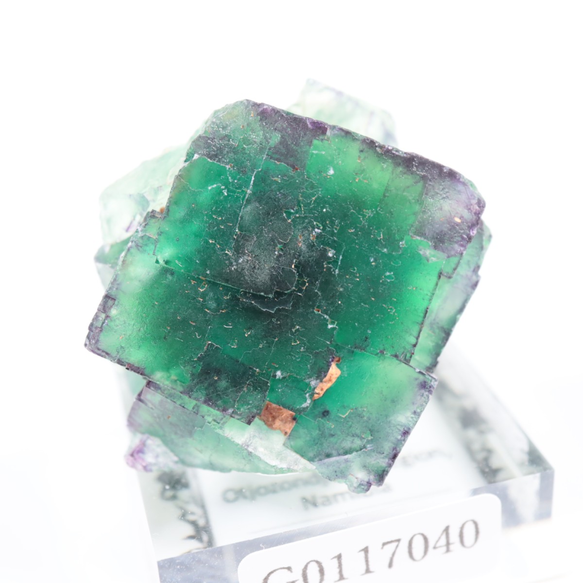 Okorusu�ۻ� �ե����饤��