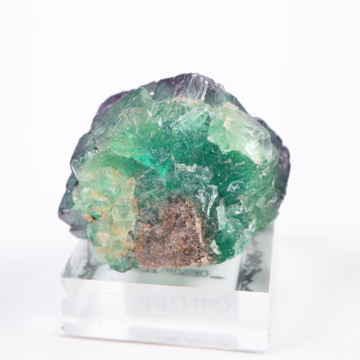 Okorusu�ۻ� �ե����饤��