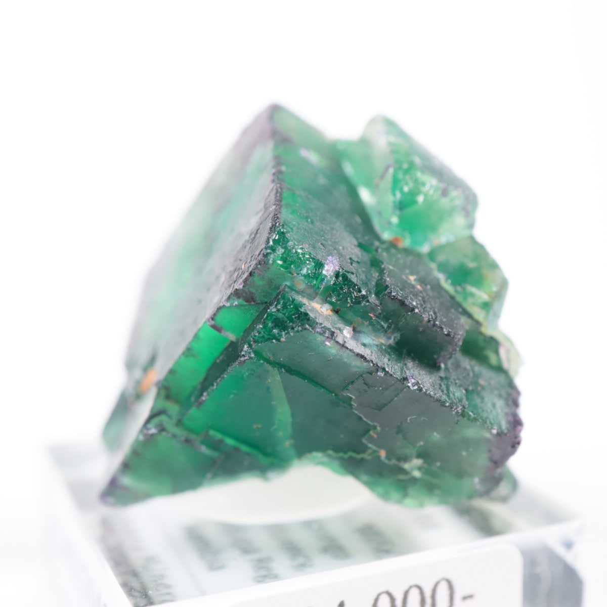 Okorusu�ۻ� �ե����饤��