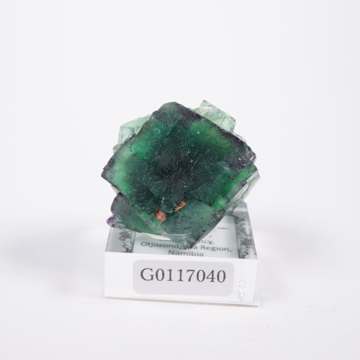 Okorusu�ۻ� �ե����饤��