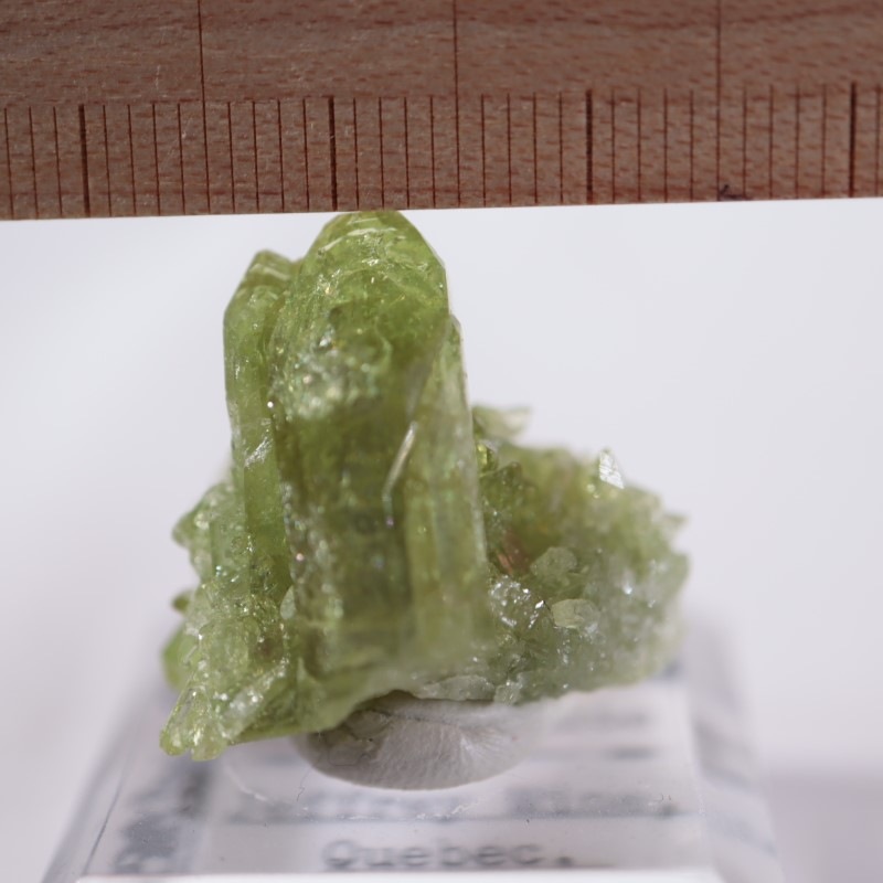 ウルトラレア ！イエロー べスビアナイト巨大結晶 ベスビアナイト(宝石名アイドクレース)ケニア産 1.17ct 識別済