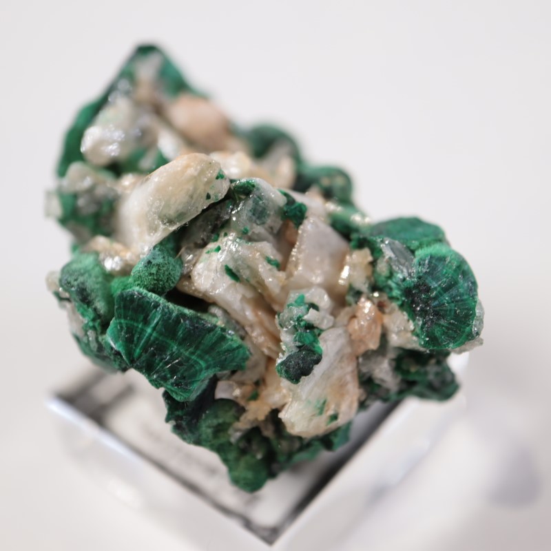 �������ȥ�ꥢ�����ޥ饫���ȡ����륵����