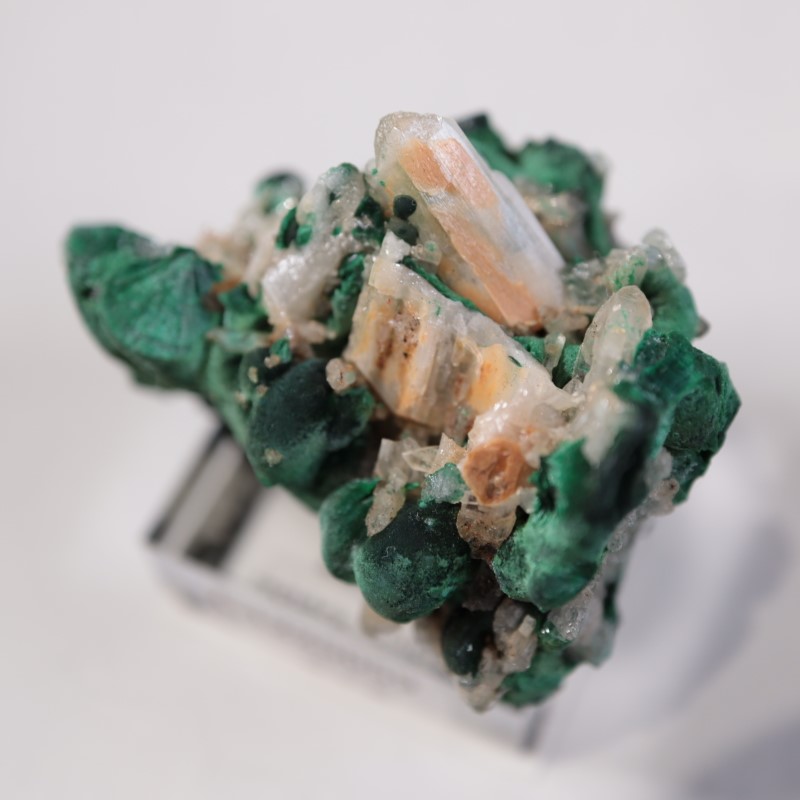 �������ȥ�ꥢ�����ޥ饫���ȡ����륵����