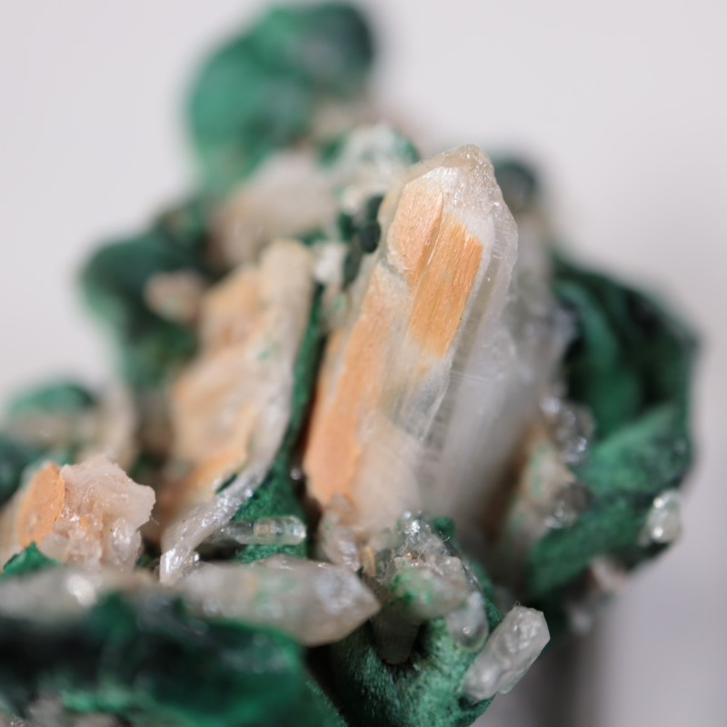 �������ȥ�ꥢ�����ޥ饫���ȡ����륵����