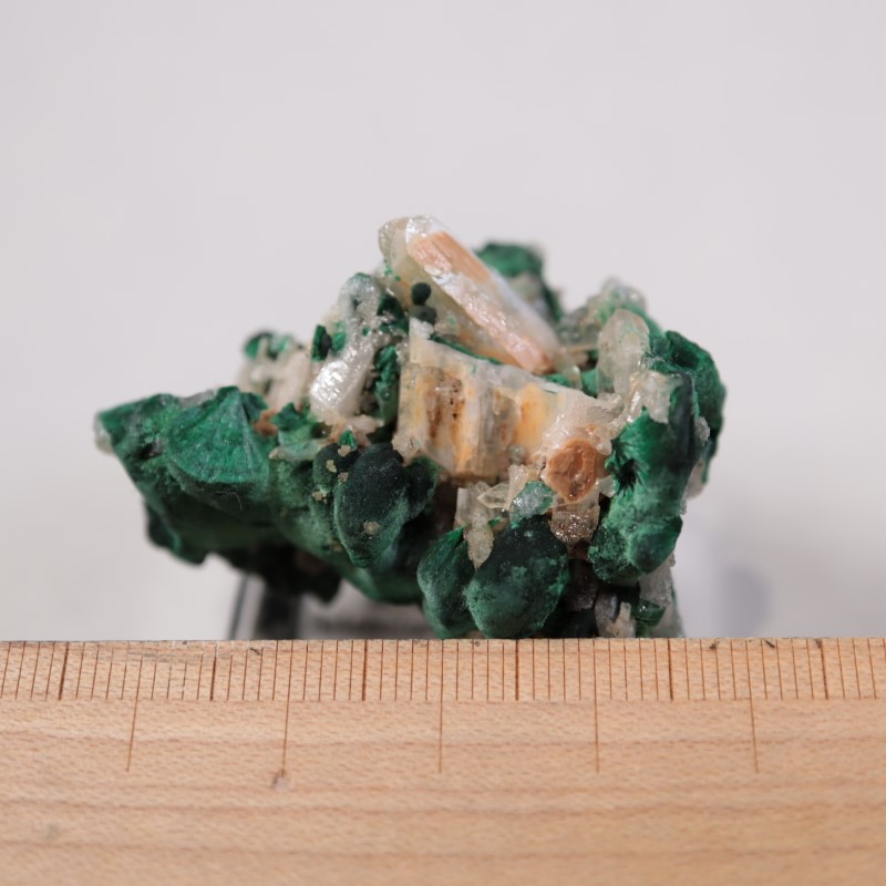 �������ȥ�ꥢ�����ޥ饫���ȡ����륵����