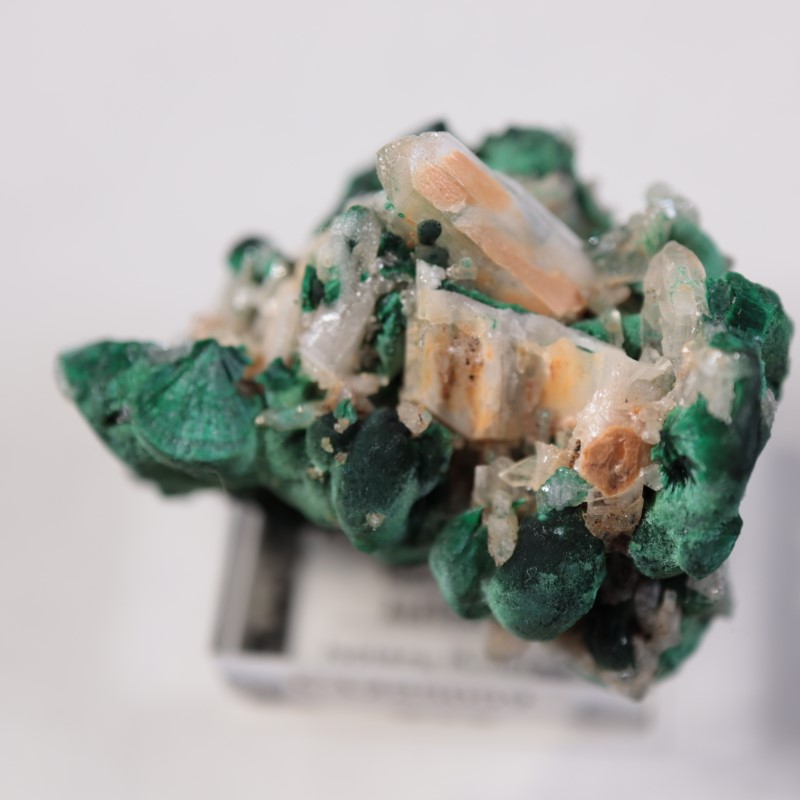 �������ȥ�ꥢ�����ޥ饫���ȡ����륵����