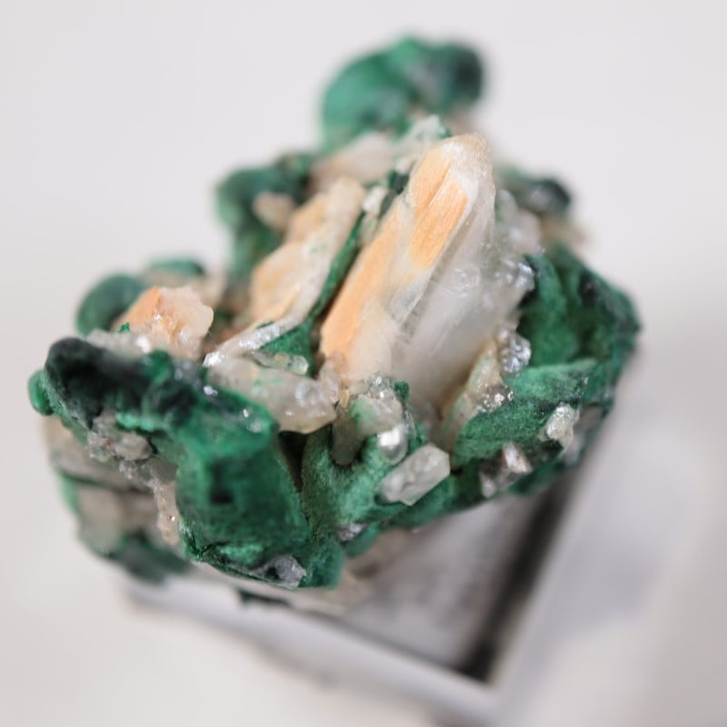 �������ȥ�ꥢ�����ޥ饫���ȡ����륵����