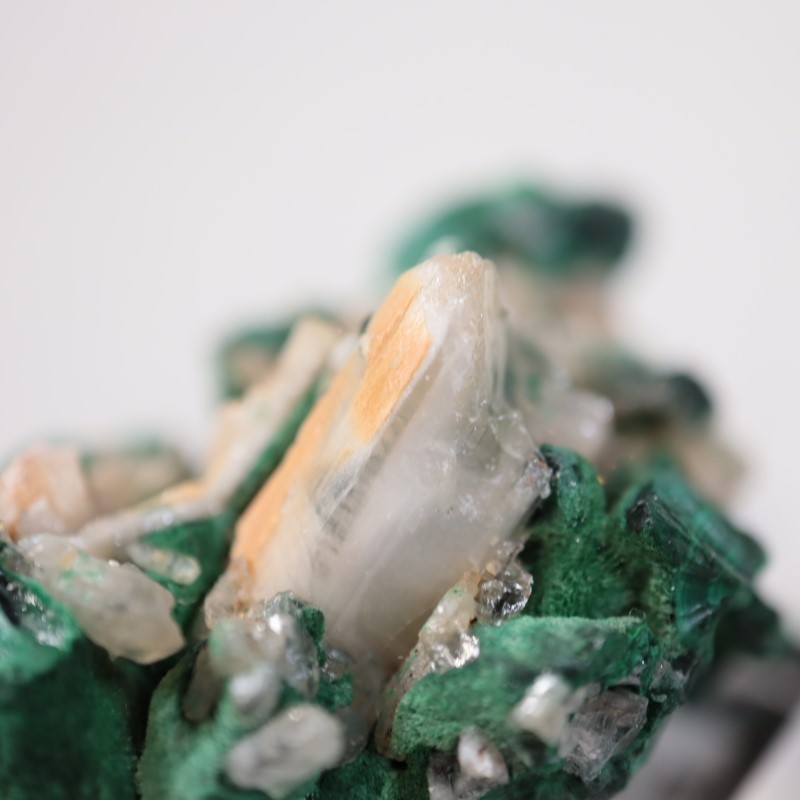 �������ȥ�ꥢ�����ޥ饫���ȡ����륵����