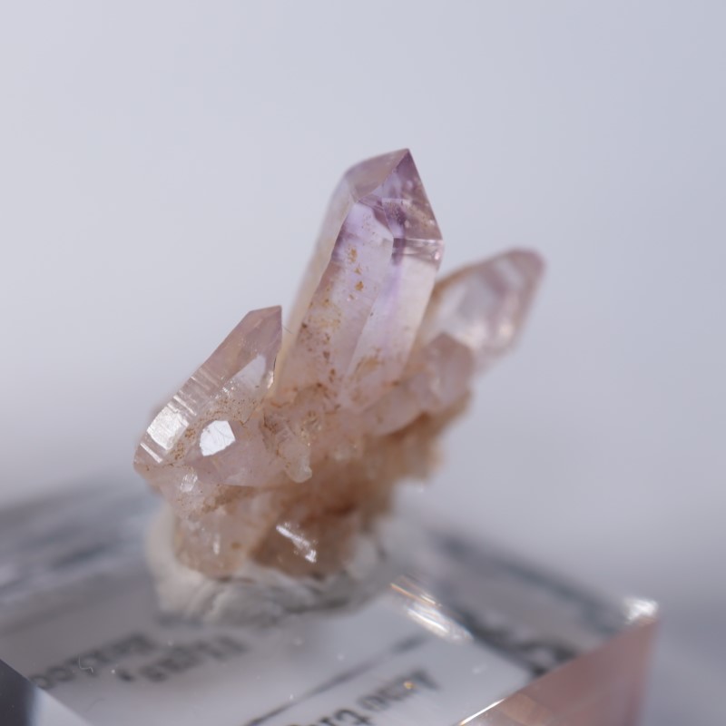 �٥饯�륹�������᥷����