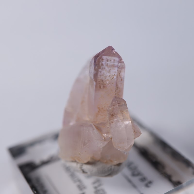 �٥饯�륹�������᥷����