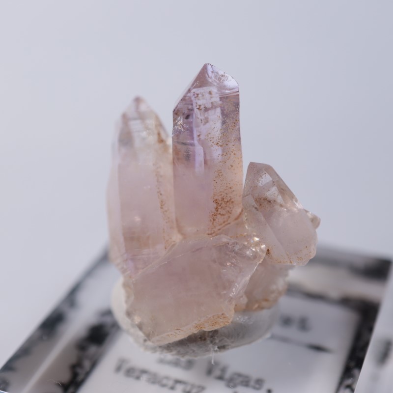 �٥饯�륹�������᥷����