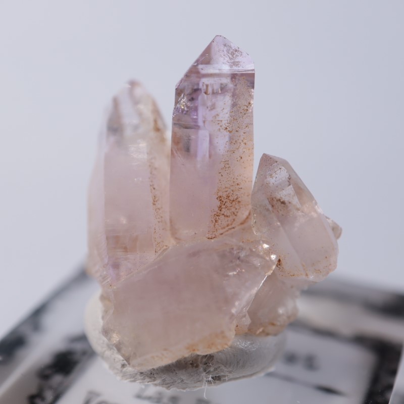 �٥饯�륹�������᥷����